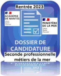 https://www.lycee-maritime-nantes.fr/wp-content/uploads/2023/03/2023_Dossier-de-candidature-2de-pro-metiers-de-la-mer-1.pdf